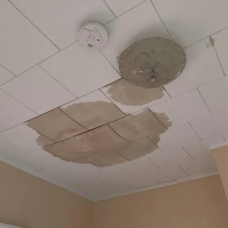 Ceiling Water Damage Repair in Chesterton, IN