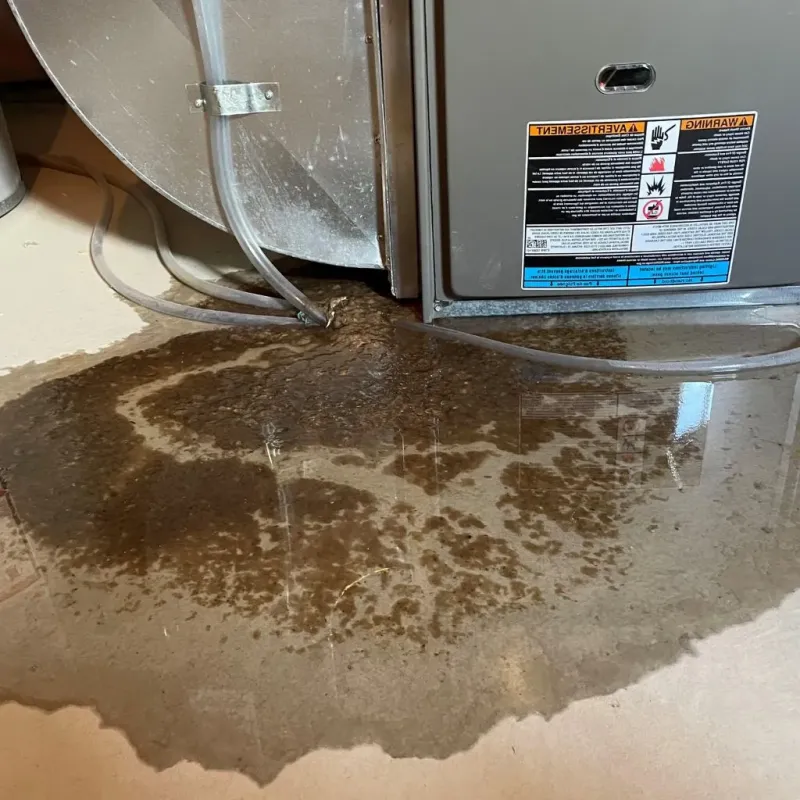 Pipe Burst and Leak Restoration in Chesterton, IN