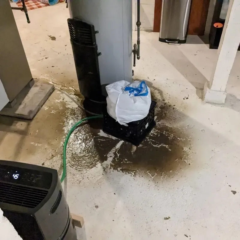 Sewage Backup Cleanup Service in Chesterton, IN